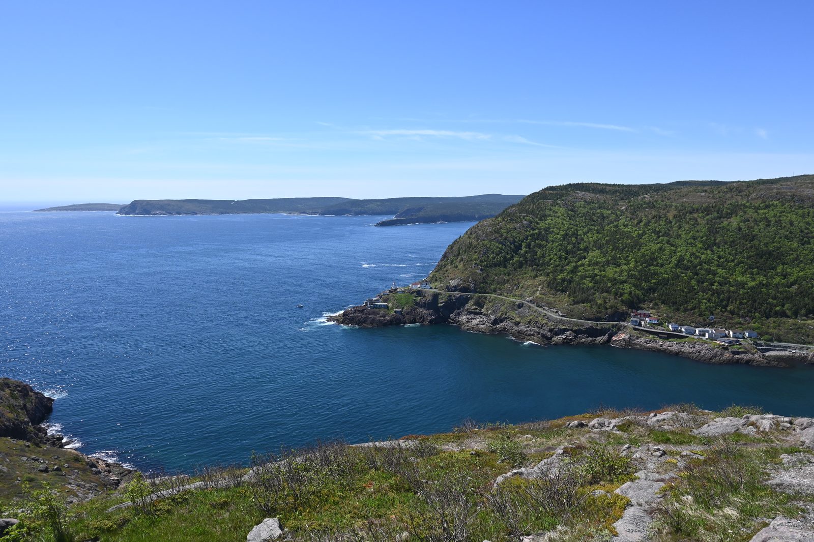 DSC_6632.JPG